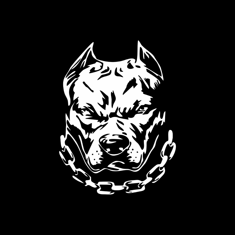 Веселая собака голова креативн – обзор и цена Motorcycle Gear For Dogs