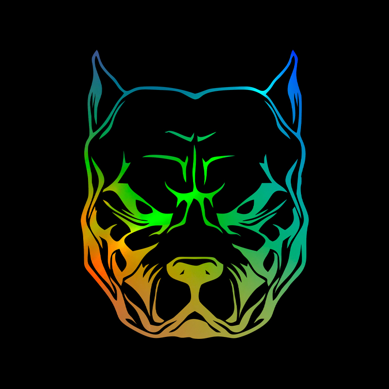 Светоотражающие автомобильные  – обзор и цена Motorcycle Gear For Dogs